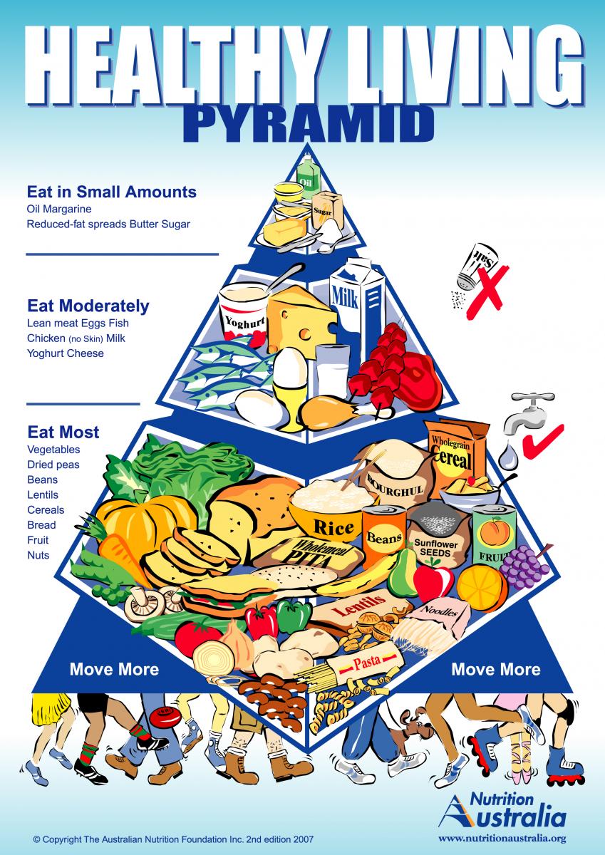 Image Retrieved from http://www.nutritionaustralia.org/national/resource/healthy-living-pyramid#.U4gclSiH9nk